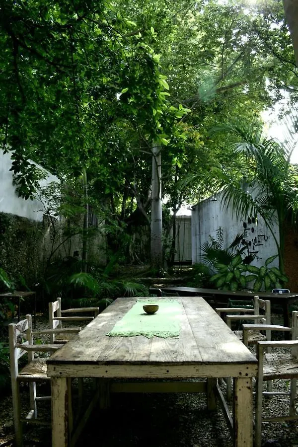 Pensión Ule Casa Cultural Hospedaje en edificio colonial Mérida